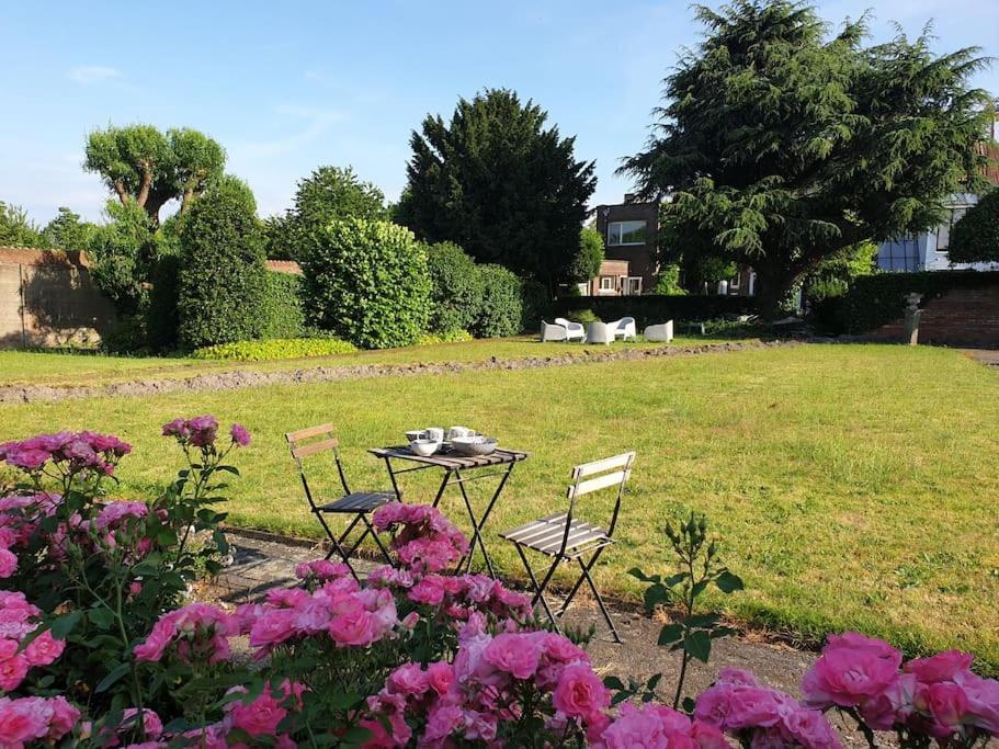 Huyze Lapin Vakantiewoning Brugge Exteriör bild